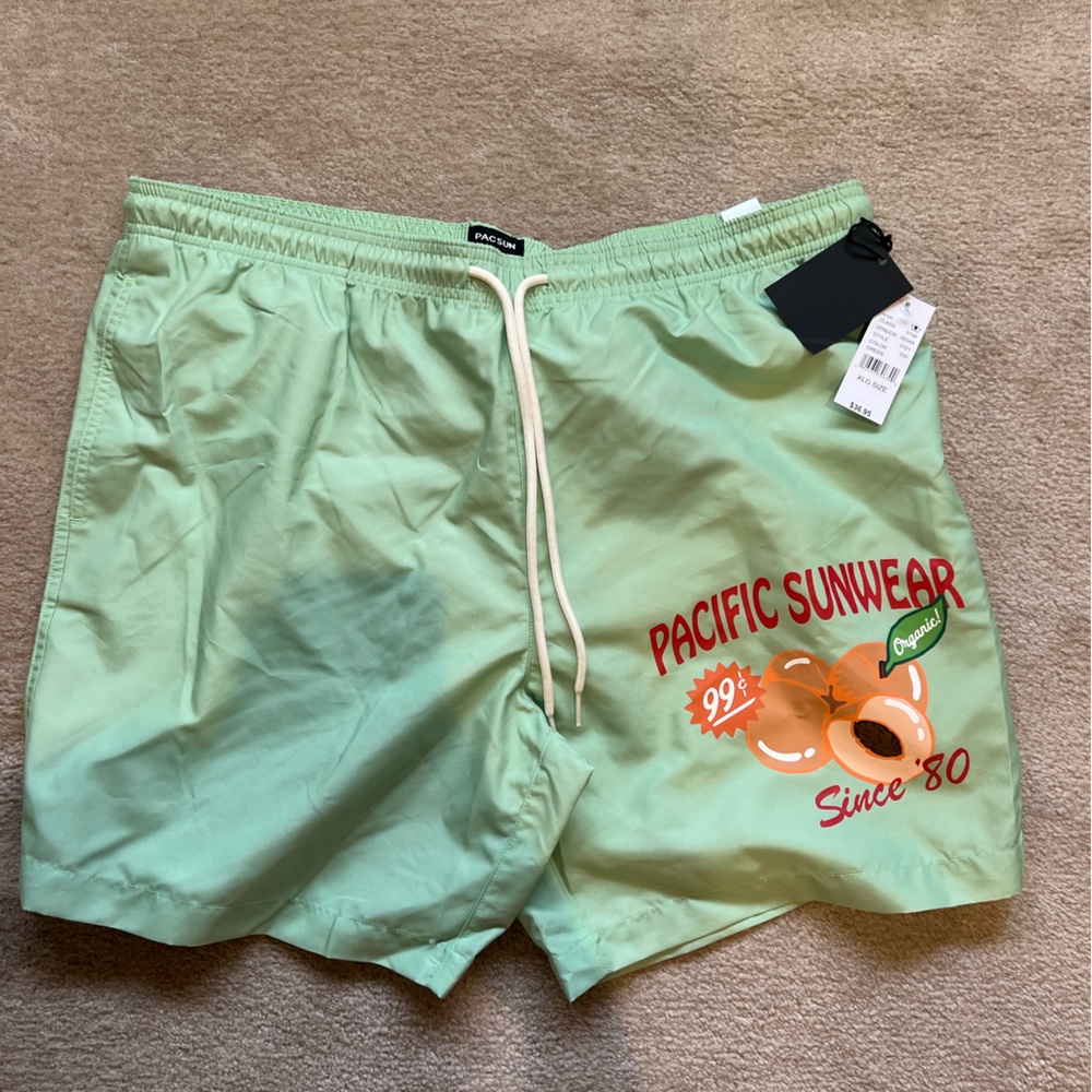 PACSUN MENS BATHING SUIT